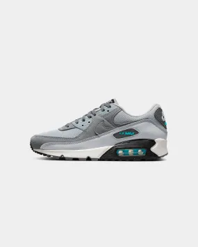 Nike Air Max 90 Wolf Grey/Cool Grey/Summit White