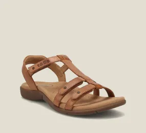 Taos Trophy 2 13765 HONEY